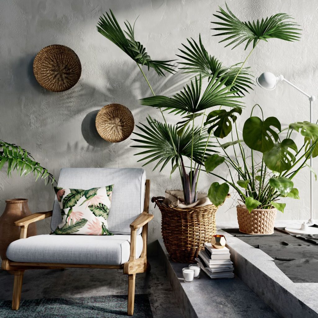 Tropical interior Design